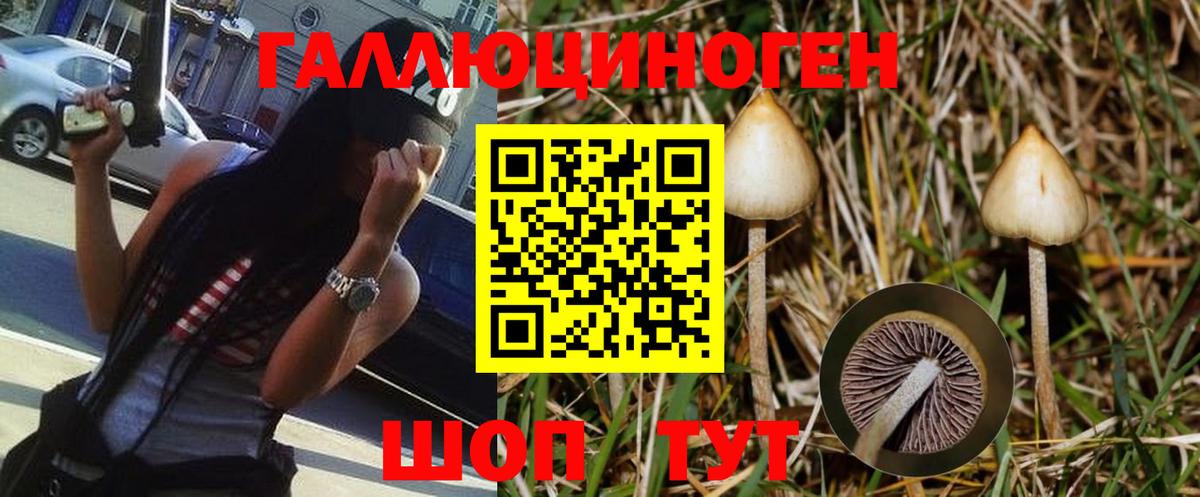 Галлюциногенные грибы GOLDEN TEACHER Грязи